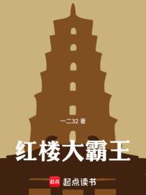 红楼大霸王TXT电子书