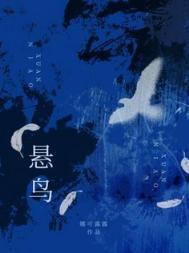 悬鸟免费阅读
