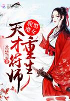 腹黑魔女重生天才符师 君楚灵