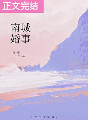南城婚事舒言傅景南