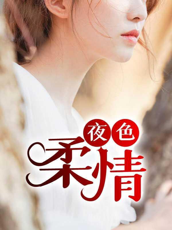 夜色温柔是什么书