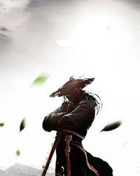 武林花劫君燕