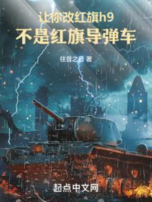 红旗h9改装方案