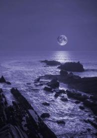 暗夜深海电视剧免费观看