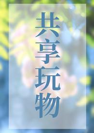 共享玩物(np)推荐