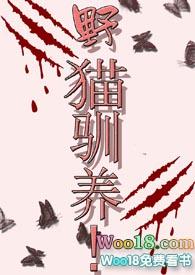 野猫驯养法免费