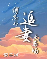 傅总的追妻火葬场免费阅读林