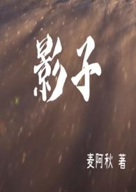 影子系统助俄无人机隐蔽作战
