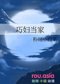 巧妇当家免费阅读