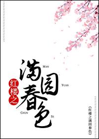 红楼同人文推荐带简介