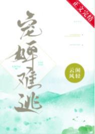 宠婢番外看不了