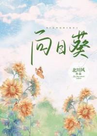 向日葵拟跨界半导体
