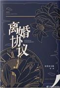 离婚协议电视剧全集免费观看