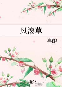 风滚草镇