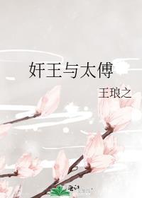 太傅与公主