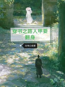 穿书路人甲之在线观战txt