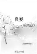 良妾张佳音txt百度