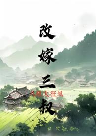 改嫁三叔作者八级大狂风