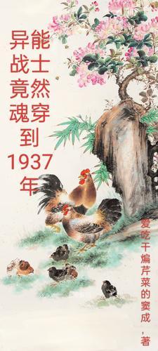 魂穿之末世女有空间正版阅读