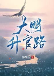大明官途笔趣阁